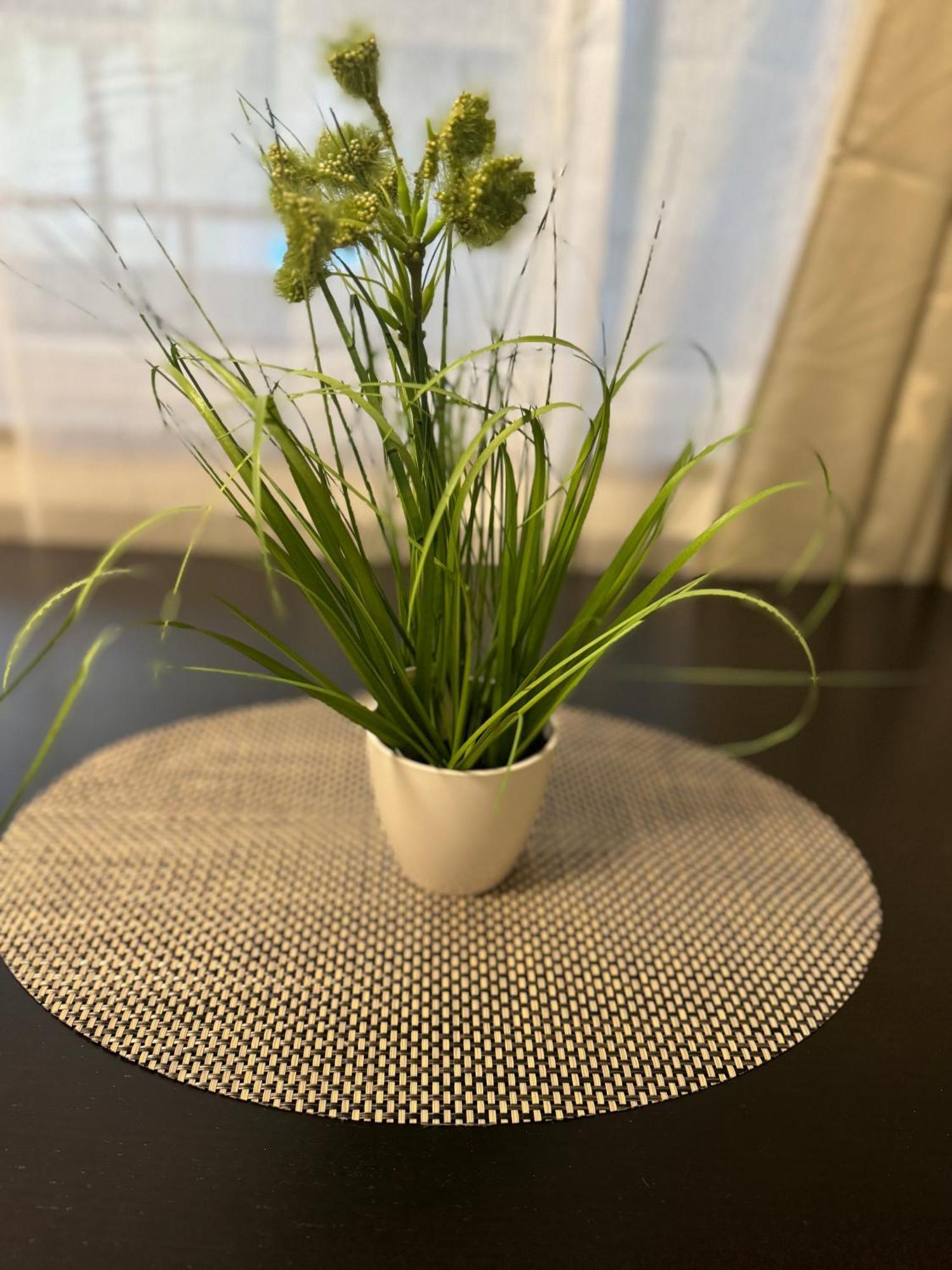 M&Bluxux Apartaments Krefeld Buitenkant foto